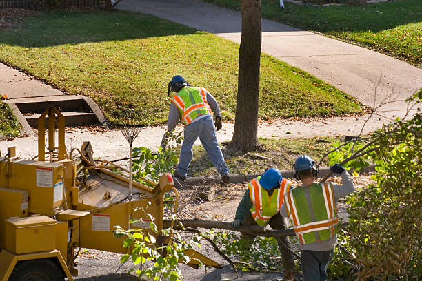 Best Lawn Mowing Services  in Palm Valley, FL